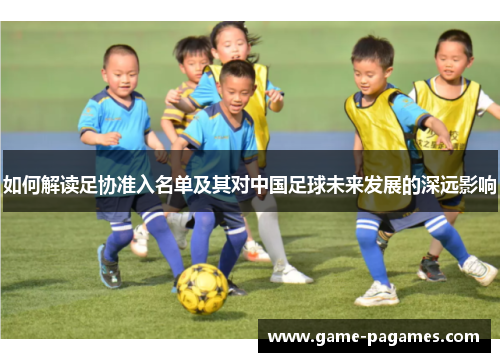 如何解读足协准入名单及其对中国足球未来发展的深远影响