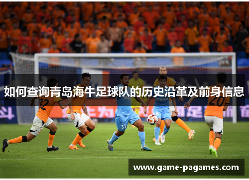 如何查询青岛海牛足球队的历史沿革及前身信息